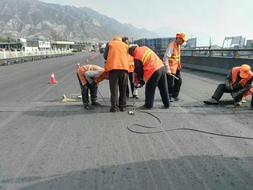 秀峰道路桥梁病害治理